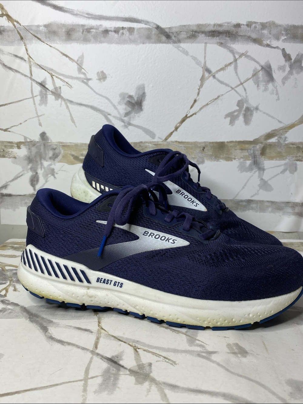 Brooks Beast GTS 2E